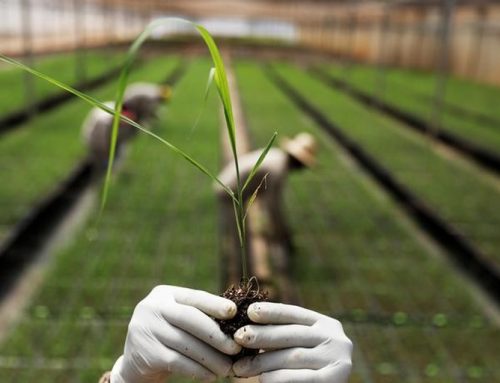 Un premio Nobel de Economía insta a digitalizar el agro en América Latina