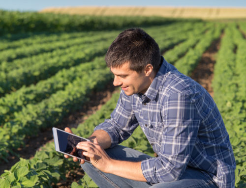 “Dr. Agro», el asistente virtual para productores